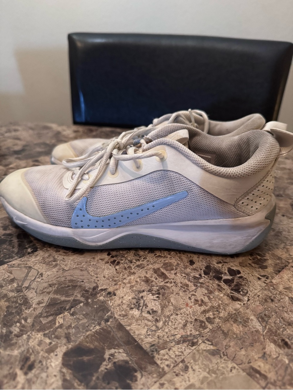 Nike Omni Multi Court Big Kids